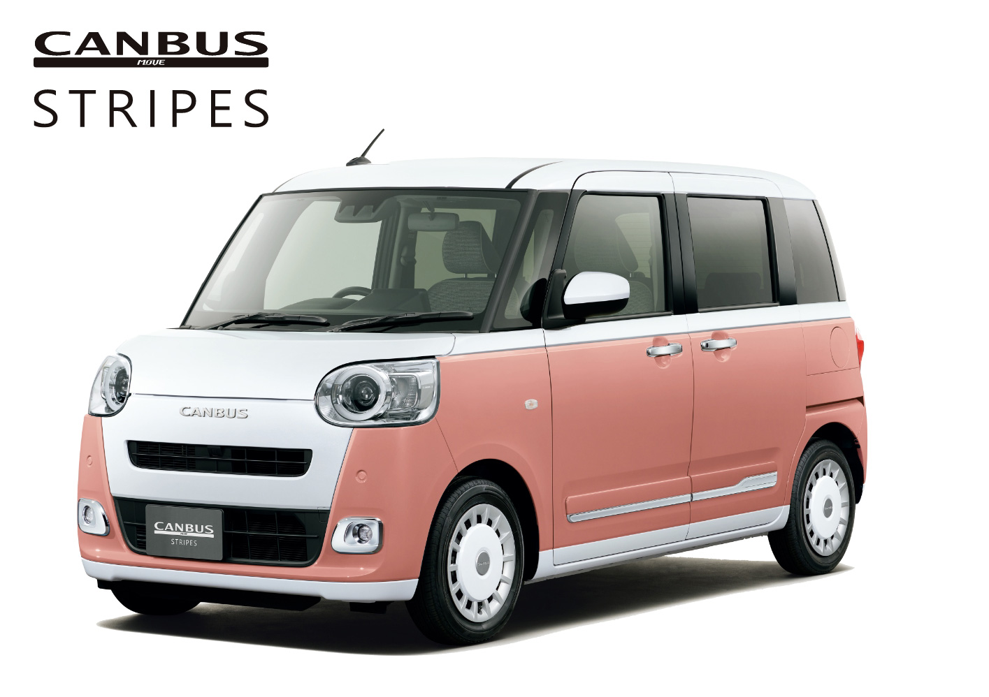 CANBUS STRIPES